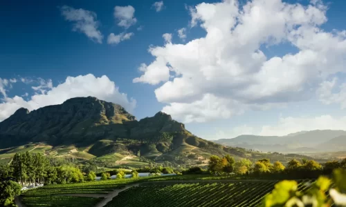 Delaire Graff Estate